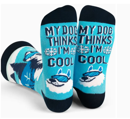 Fun Socks Preorder